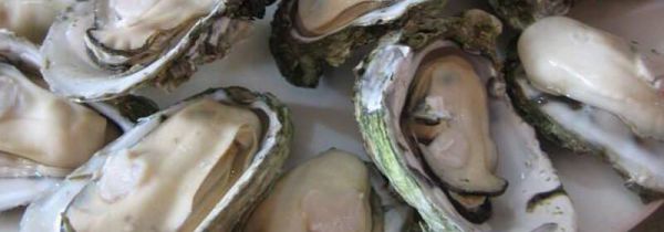 生蚝死了还能吃了吗