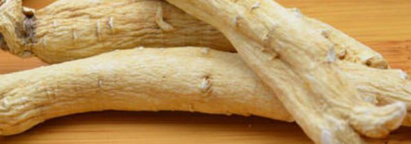 生晒参不适合什么人吃