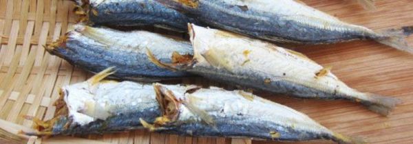 巴浪鱼干营养价值及功效