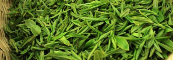 宁武野生毛健茶的功效