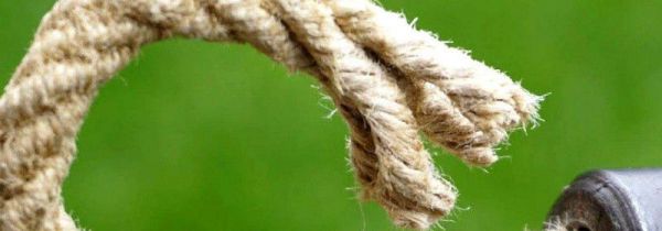 绳的拉力是不是弹力