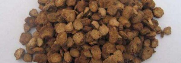 牛蒡茶过期了还能喝吗