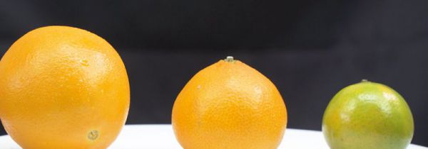 橙子和橘子的区别