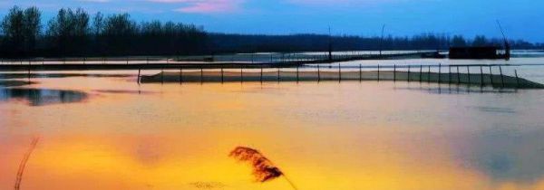 四方湖属于哪个省