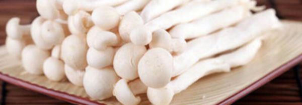 海鲜菇搭配禁忌