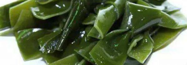 海带能和西红柿一起吃吗