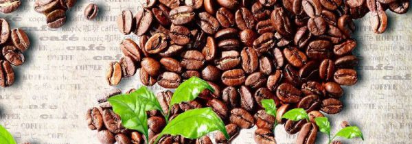 arabica咖啡是哪个国家的