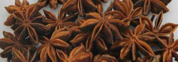 大料长了毛还能吃吗