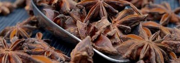 大料能防止大米生虫吗