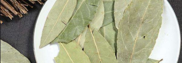 香叶可以油炸吗