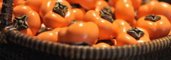 柿子不能和什么一起吃,柿子和什么相克