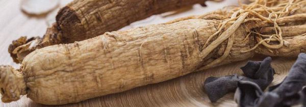 怎样区分山参,园参,西洋参