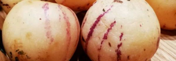 七彩果有什么营养价值