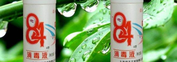 消毒液能杀蟑螂吗