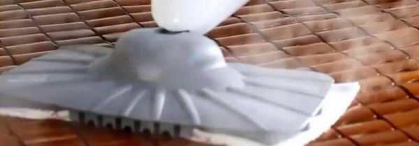 蒸汽拖把能杀跳蚤蛋吗