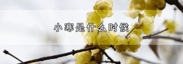 小寒是什么时候