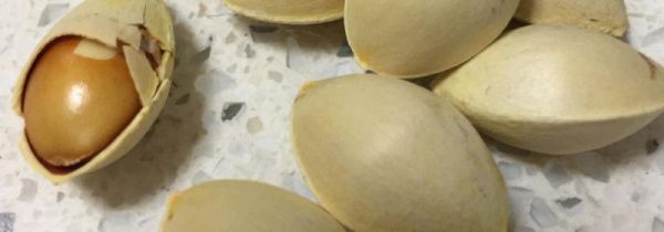 白果一天最多吃几颗