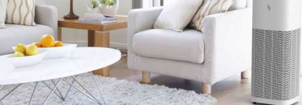 空气净化器可以一直开着吗