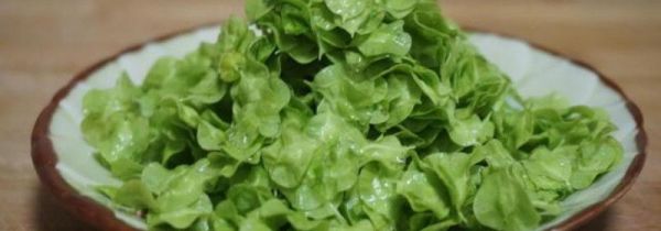 榆钱怎么长时间储存