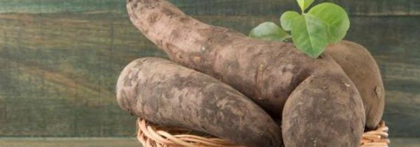 雪莲果为什么会裂开