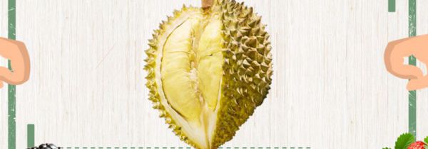 榴莲怎么开