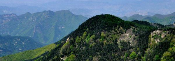 泰山能看到日出吗