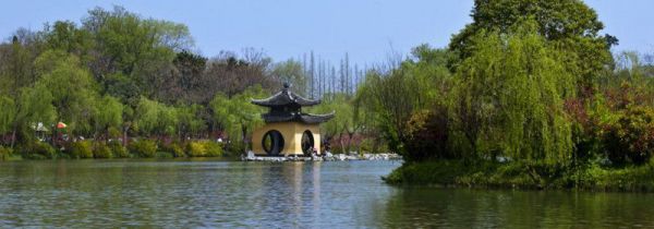 白娘子在西湖什么桥