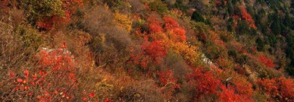 香山公园在哪里