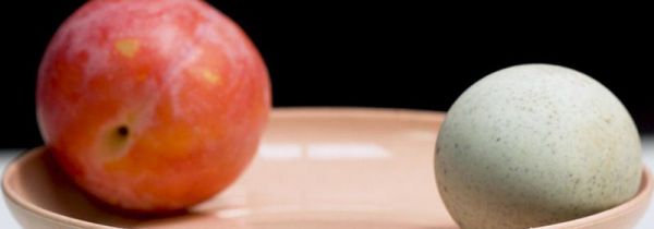 皮蛋不能和什么一起吃