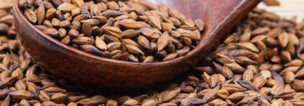 泡好的大麦茶可以放保温桶吗