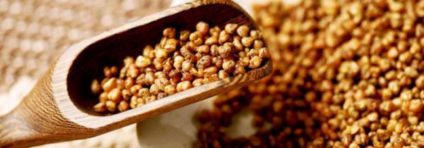 女性喝苦荞茶的作用