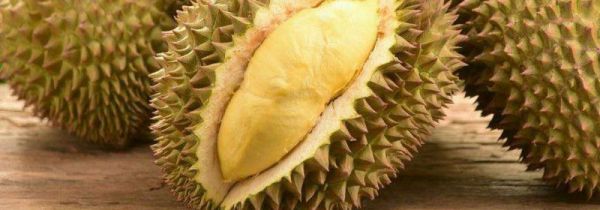 变质的榴莲怎么处理