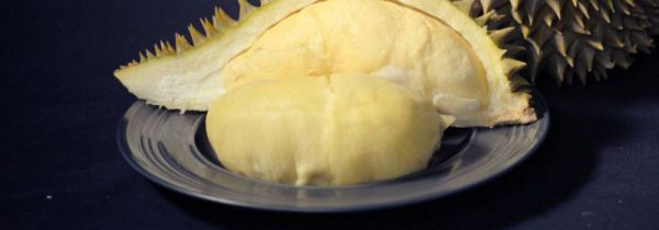 变质的榴莲吃了怎么样