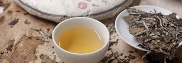 白茶能煮吗