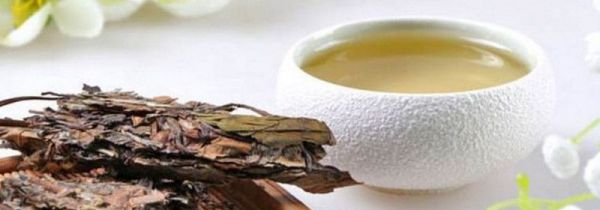 白茶能存放多少年