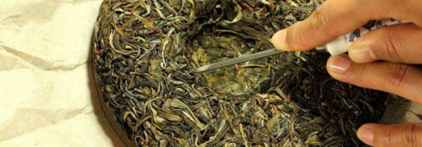 普洱茶多久喝一次