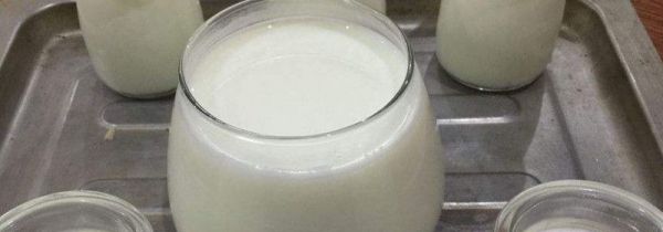 土豆和酸奶能一起吃吗