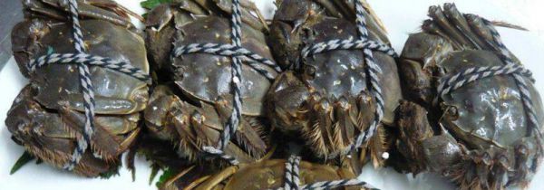 死掉的螃蟹暂时不吃怎么处理