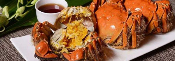 螃蟹相克的食物
