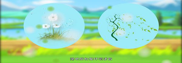 植物传播种子的方法