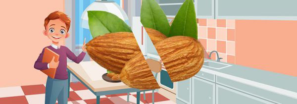 巴旦木和杏仁的区别