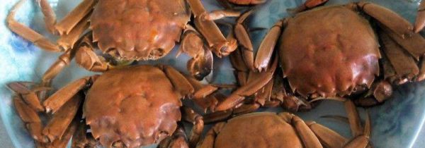 螃蟹是冷水下锅还是热水下锅