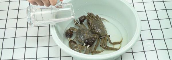 活螃蟹怎么保存
