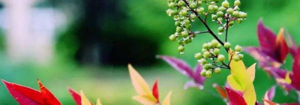 一年最热的月份