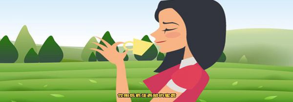 金骏眉属于什么茶