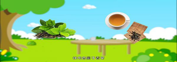 铁观音属于什么茶