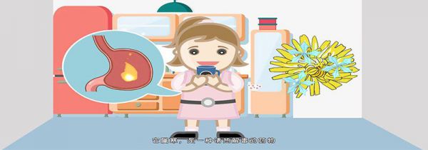 蒲公英茶可以天天喝吗