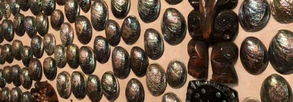 鲍鱼壳是干垃圾还是湿垃圾