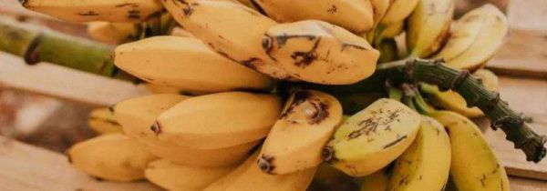 香蕉和海鲜能一起吃吗