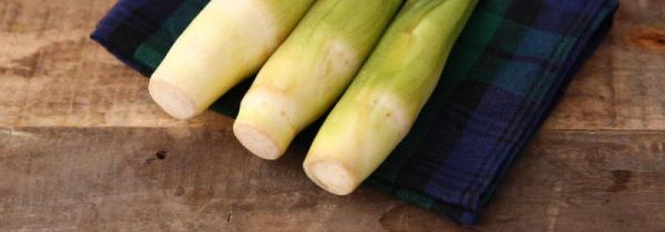 茭白里面的黑点是什么